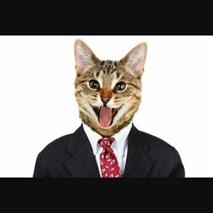 Meet your Posher, Toni